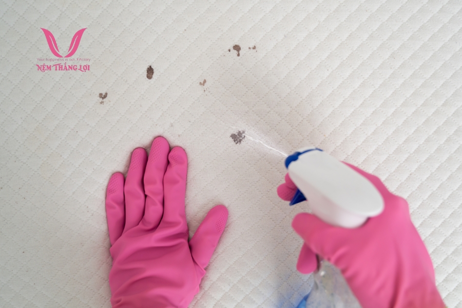 Chu kỳ sử dụng nệm theo mùa để tăng tuổi thọ