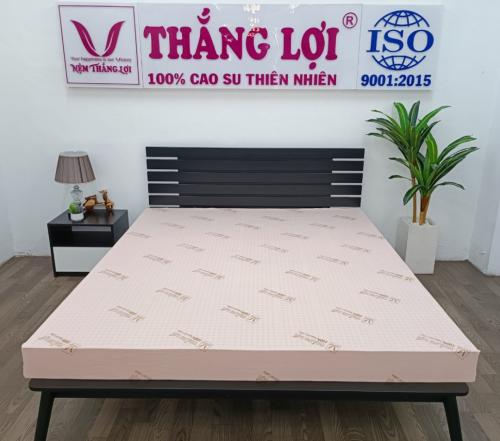 Nệm cho phòng ngủ nhiều ánh nắng chiếu trực tiếp