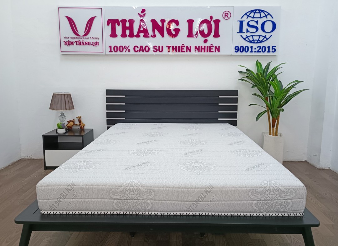 Nệm có độ bật phân vùng theo cơ thể