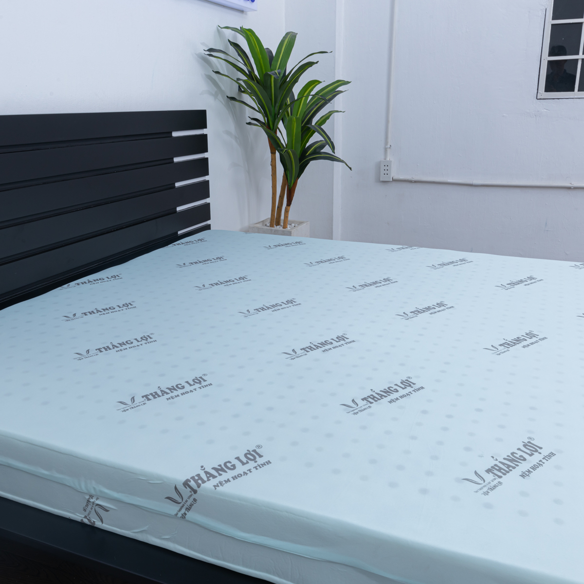 Nệm chịu lực đa điểm ổn định