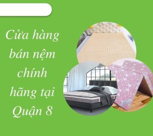 Cửa hàng nệm cao su quận 8