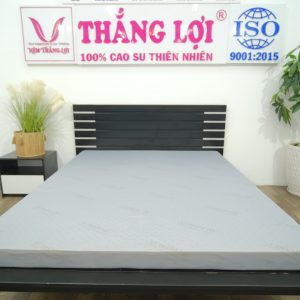 nệm cao su nhân tạo hiệu nào tốt