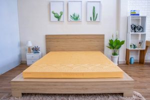 cửa hàng bán nệm cao su quận 11