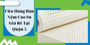 Cửa hàng bán nệm cao su quận 5