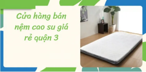 cửa hàng bán nệm cao su quận 3
