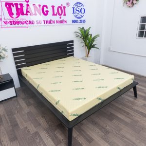 nệm cao su non thắng lợi 1m6 x 2m x 15cm