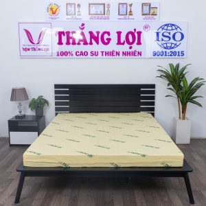 Nệm cao su non Thắng Lợi 1m2 x 2m x 20cm