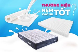Nên mua nệm cao su hãng nào