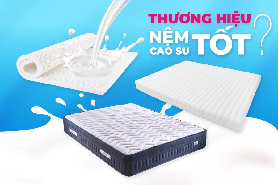 Nên mua nệm cao su hãng nào