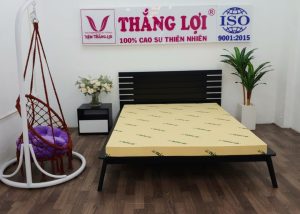 cửa hàng bán nệm cao su non Tiền Giang