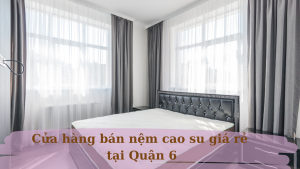 cửa hàng bán nệm cao su quận 6