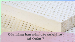 cửa hàng bán nệm cao su quân 7