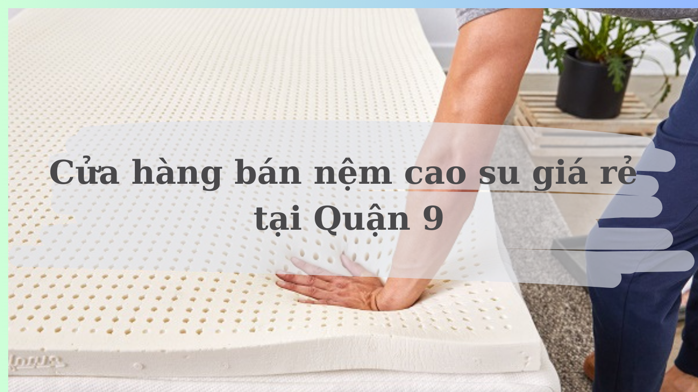 cửa hàng bán nệm cao su quận 9