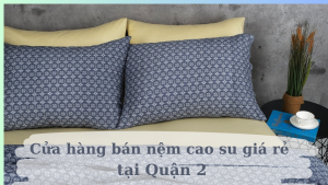 cửa hàng bán nệm cao su quận 2