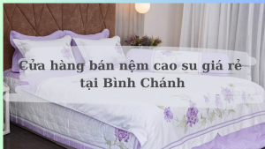 cửa hàng bán nệm cao su Bình Chánh