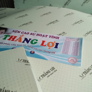 cửa hàng bán nệm cao su non Hà Nội