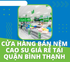 Cửa hàng bán nệm cao su quận Bình Thạnh