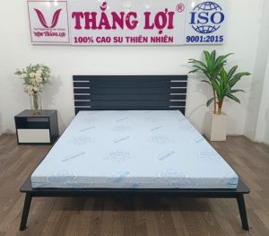 cửa hàng bán nệm cao su non Sóc Trăng