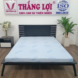 cửa hàng bán nệm cao su non Bạc Liêu