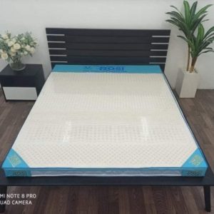 Nệm Cao Su 100% Massage Rosi Thắng Lợi 1m8 x 2m x 10cm