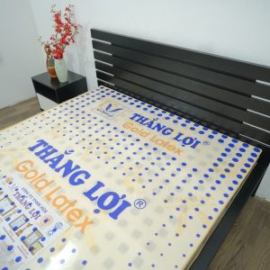 Nệm Cao Su Gold Latex Thắng Lợi 1m2 x 2m x 15cm