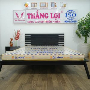cửa hàng bán nệm cao su non TP. Hồ Chí Minh