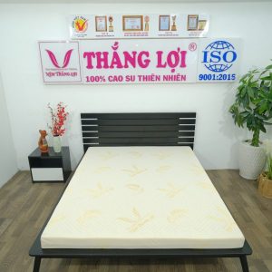 cửa hàng bán nệm cao su non Hòa Bình