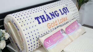 cửa hàng bán nệm cao su non Đồng Tháp