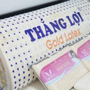 cửa hàng bán nệm cao su non Đồng Tháp
