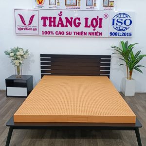 cửa hàng bán nệm cao su non Long An