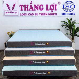 cửa hàng bán nệm cao su non Bắc Kạn
