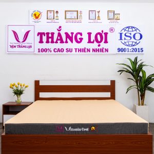 cửa hàng bán nệm cao su non Quảng Ninh