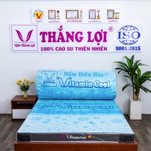 Nệm Điều Hòa Thắng Lợi Vitamin Cool 1m6 x 2m x 20cm