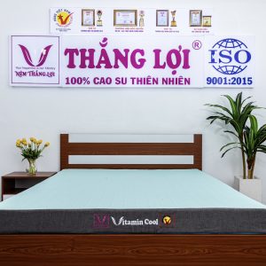 Nệm Điều Hòa Thắng Lợi Vitamin Cool 1m8 x 2m x 20cm