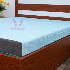 cửa hàng bán nệm cao su non Lâm Đồng