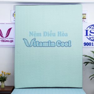 Nệm Điều Hòa Thắng Lợi Vitamin Cool 1m8 x 2m x 15cm