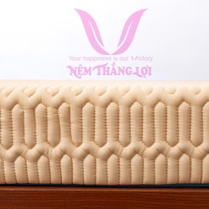 Nệm Điều Hòa Thắng Lợi Vitamin Cool 1m2 x 2m x 15cm