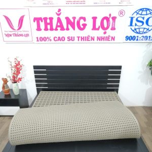 Nệm Cao Su 100% BoBo – Than Hoạt Tính 1m6 x 2m x 15cm