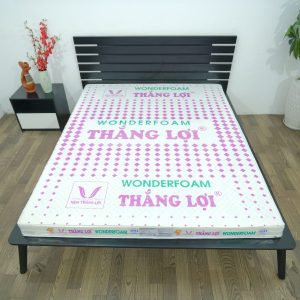 Nệm Cao Su Wonder Foam Thắng Lợi 1m x 2m x 20cm