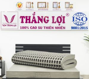 cửa hàng bán nệm cao su non An Giang