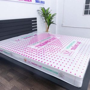 cửa hàng bán nệm cao su non Đồng Tháp