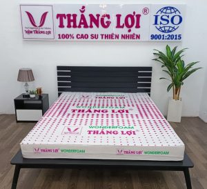 cửa hàng bán nệm cao su non Thanh Hóa