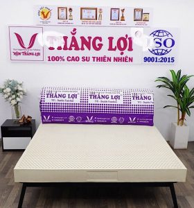 cửa hàng bán nệm cao su non Long An