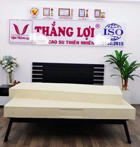 cửa hàng bán nệm cao su non Bình Dương