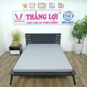 Nệm Cao Su Foam Hoạt Tính Cao Cấp 1m8 x 2m x 20cm