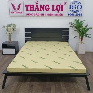 Nệm Cao Su Non Massage Thắng Lợi 1m8 x 2m x 20cm