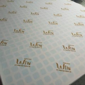Nệm Super Win Foam 1m x 2m x 20cm