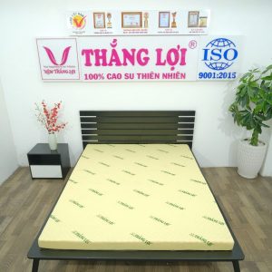 Nệm Cao Su Non Massage Thắng Lợi 1m8 x 2m x 20cm