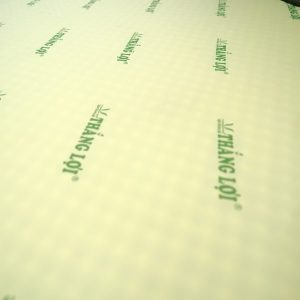 Nệm Cao Su Non Massage Thắng Lợi 1m6 x 2m x 10cm