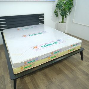 Nệm Cao Su Non Cao Cấp Thắng Lợi 1m6 x 2m x 15cm